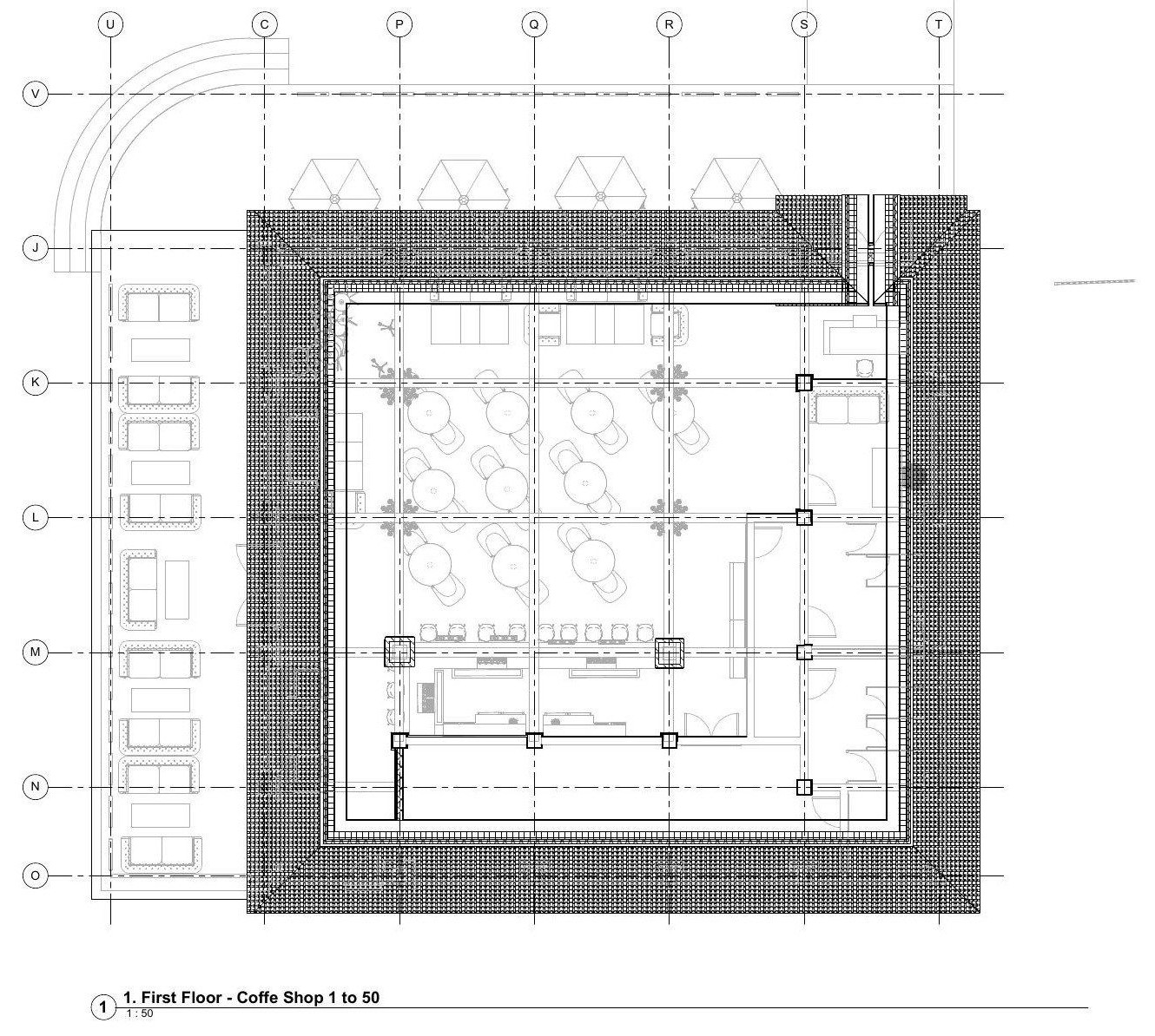 Roof and section study